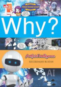 Why ? Artificial Intelligence 